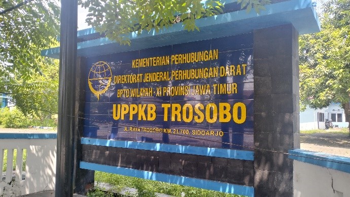 Services