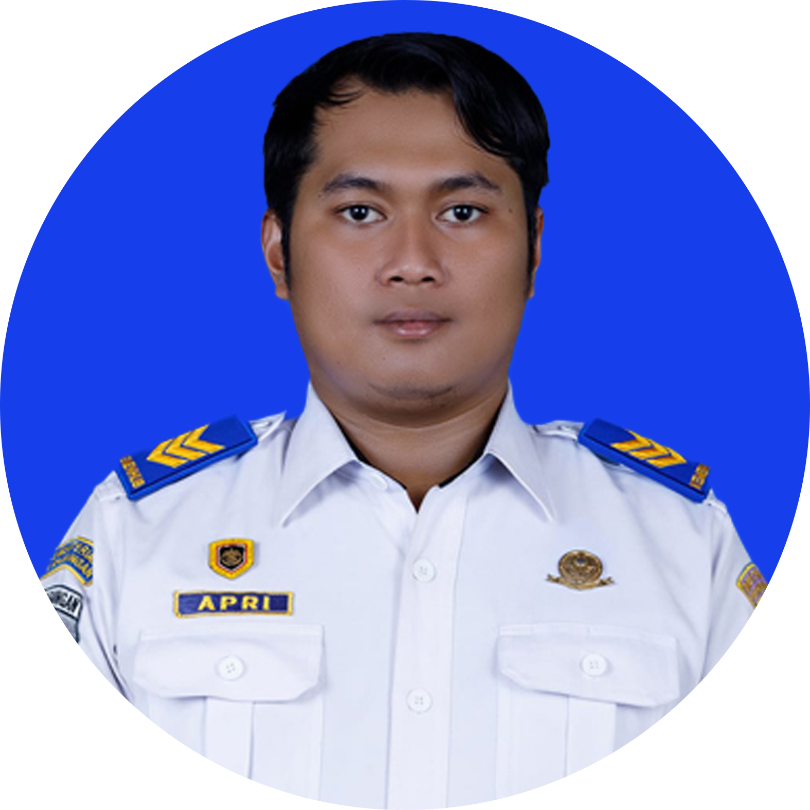 Apriyansyah, A.Md. LLASDP - Penelaah Teknis Kebijakan