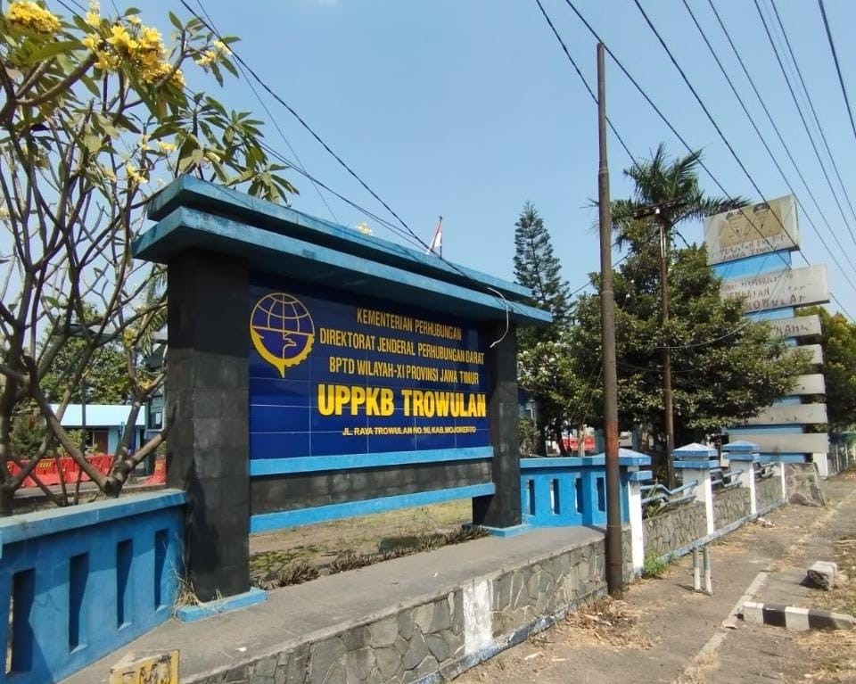 Services