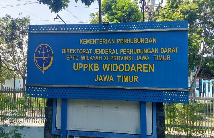Services