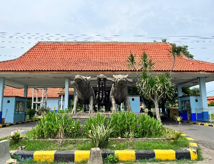 Services